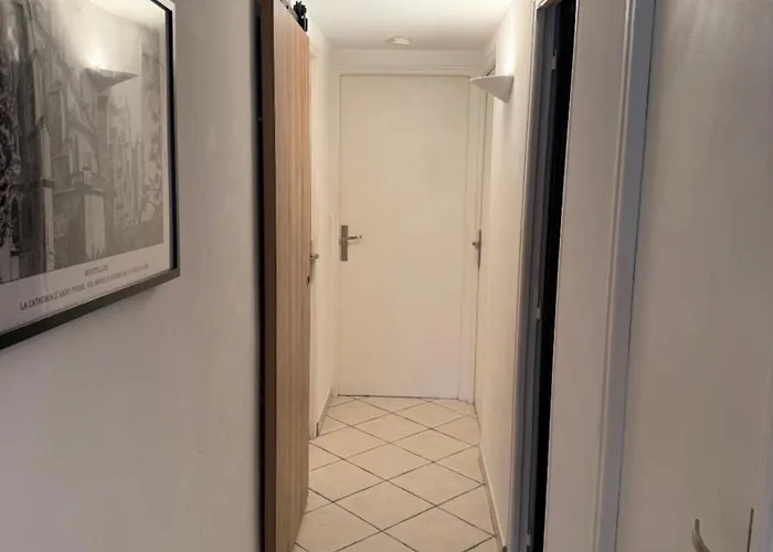 Apartman Sorbes - T3 - Spacieux Lumineux, Climatise *